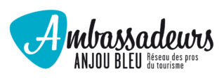 LOGO AMBASSADEURSANJOUBLEU RESEAU RVB