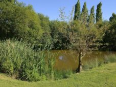 Le clos du piheux