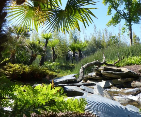 Terra botanica 1